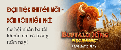 Đẳng Cấp Game Bài Trực Tuyến banner image